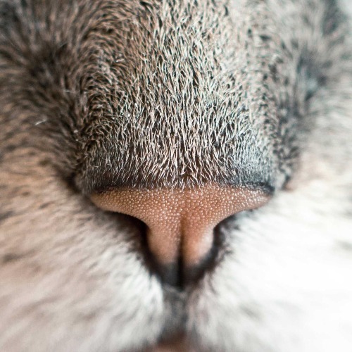 Ім'я Прізвище 3