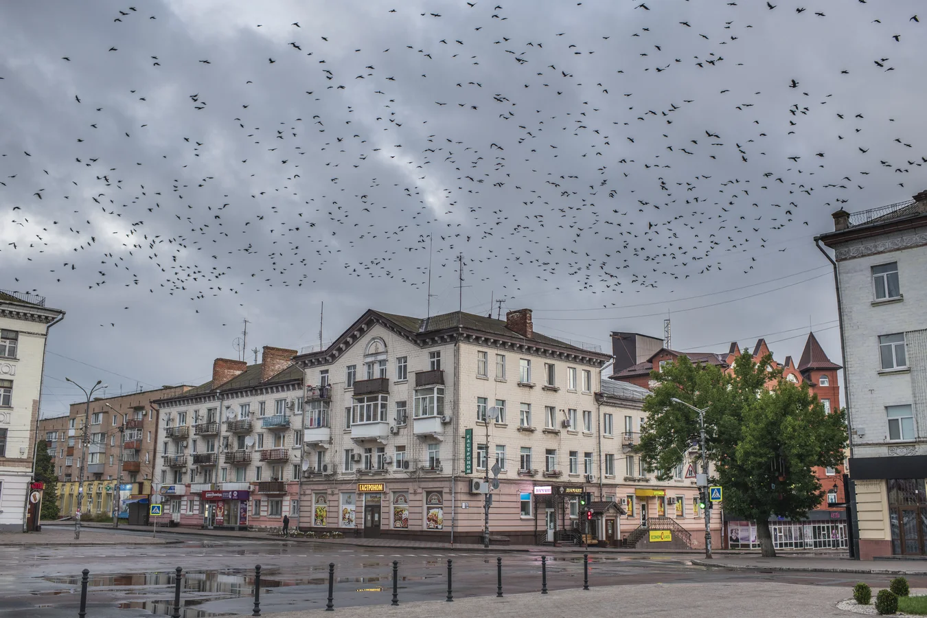 Place Branding Agency - 2